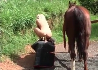 Horse fucks with a leggy blonde