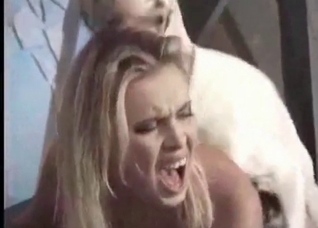 Dog fucks with a nice young babe