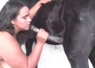 Nasty black horse fucks with a hot babe