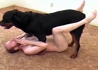 Black dog fucks a horny old man