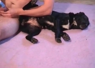 Crazy black dog gives a blowjob