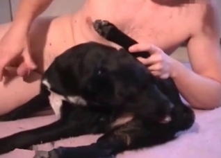 Crazy black dog gives a blowjob