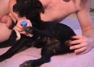 Crazy black dog gives a blowjob