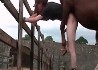 Awesome horse is having a filthy action