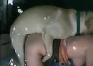 Great-looking animal porn action