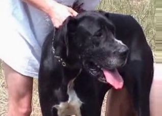 Old man is being fucked by a doggy