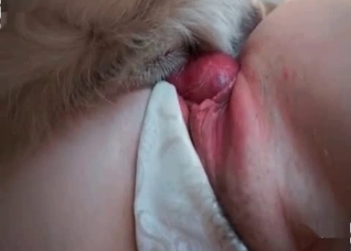 Kinky goddess enjoys animal porn