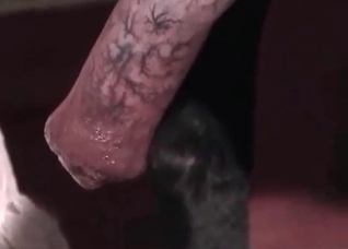 Crazy girl is sucking a doggy wiener