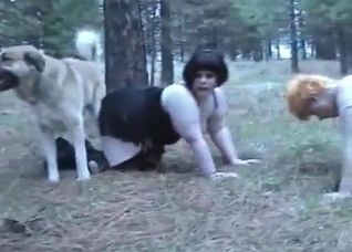 Filthy porn action with a doggy