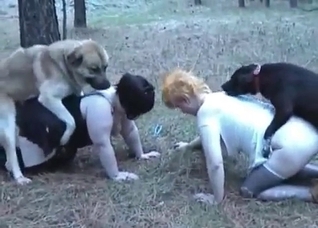 Filthy porn action with a doggy