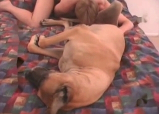 Dude want to fuck this dog in the ass