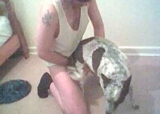 Sexy hound is blowing a small dick