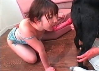 Asian is sucking a tasty doggy dick