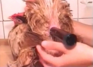 Cock is being fucked by a dildo