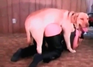 Lovely police doggy fucks a zoophile girl